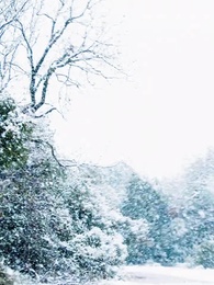 Nikita：Alpha King's 3-Time Rejected Mate(Emotional Version) - Episode 6