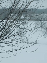 Episode 9 - Nikita：Alpha King's 3-Time Rejected Mate(Emotional Version)