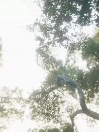 Episode 62 - Wiedergeboren zur Rache an den Verratenen