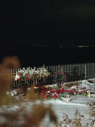 Episode 23 - Nikita：Alpha King's 3-Time Rejected Mate(Emotional Version)