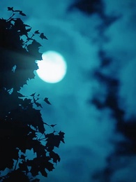 Nikita：Alpha King's 3-Time Rejected Mate(Emotional Version) - Episode 73