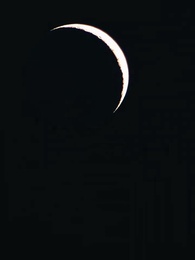 Nikita：Alpha King's 3-Time Rejected Mate(Emotional Version) - Episode 58