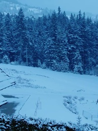 Episode 43 - Nikita：Alpha King's 3-Time Rejected Mate(Emotional Version)