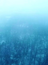 Episode 8 - Nikita：Alpha King's 3-Time Rejected Mate(Emotional Version)