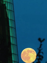 Nikita：Alpha King's 3-Time Rejected Mate(Emotional Version) - Episode 60