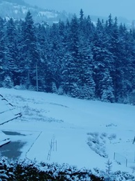 Episode 46 - Nikita：Alpha King's 3-Time Rejected Mate(Emotional Version)