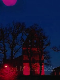 Episode 1 - Nikita：Alpha King's 3-Time Rejected Mate(Emotional Version)