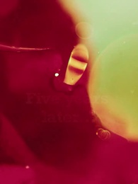 Nikita：Alpha King's 3-Time Rejected Mate(Emotional Version) - Episode 75