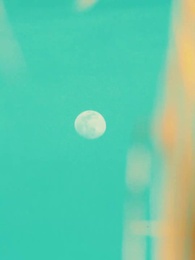 Episode 12 - Nikita：Alpha King's 3-Time Rejected Mate(Emotional Version)