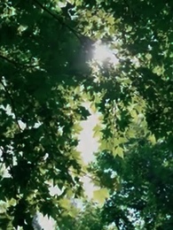 Episode 61 - Die Unerwünschte Braut des Atticus Fawn