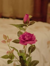 Nikita：Alpha King's 3-Time Rejected Mate(Emotional Version) - Episode 84