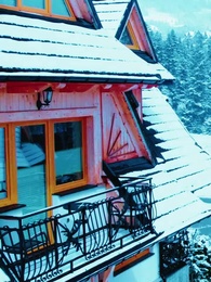 Episode 88 - Nikita：Alpha King's 3-Time Rejected Mate(Emotional Version)