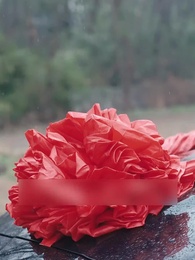 Episode 41 - Der Machtkampf