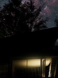 第81話 - 私の人狼国王