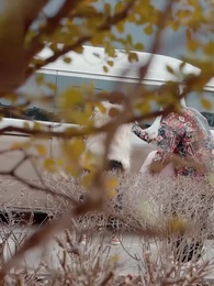 Episode 12 - True Love Behind Thick Fogs