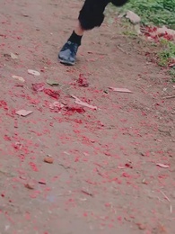 Episode 26 - The Wanderer Returns