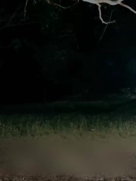 Mi Rey Licántropo Personal - Episode 27