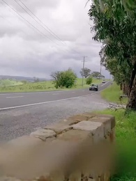 Episodio 66 - Mi Rey Licántropo Personal