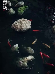 ซุปเปอร์สตาร์สาวตามจีบหลังผมเป็นเศรษฐี - Episode 21