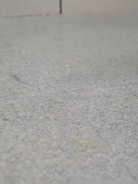 Episode 75 - My Billionairess Ex-wife