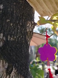 My Silly Husband - Episode 85