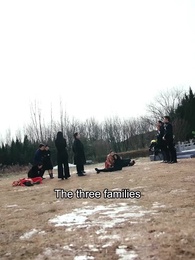 Invincible Hero - Episode 100