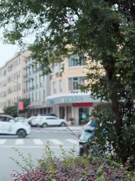 Episode 48 - Der unsterbliche Erwachte Drache