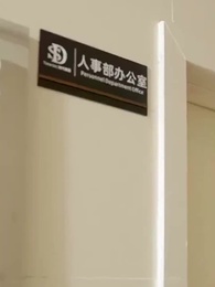 Die CEO als Putzfrau getarnt - Episode 37