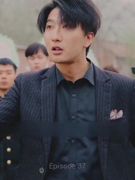 Heimkehr - Episode 37