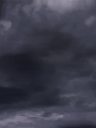 5화 - 심택 진계록