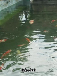 Captain Shepard - Episode 2