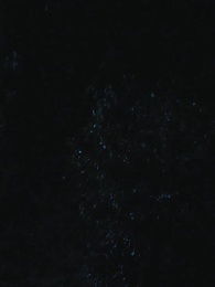 53화 - 늑대인간의 로맨스