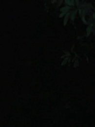 第17話 - 転生から復讐：裏切られたルナ