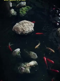 World Currency Devaluation: Pursued by a Famous Actress - Episode 21