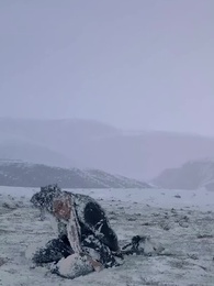 살아보자 - Episode 34