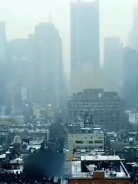 37화 - 살아보자