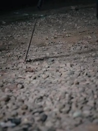 เทพแห่งสงครามหัวเซี่ย - Episode 2