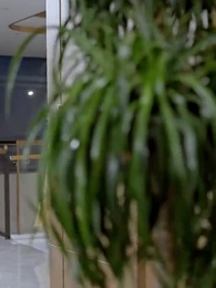 Episode 42 - Peerless Lady