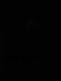 Episode 2 - Erwachen