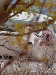 Episodio 12 - El amor antes del amanecer