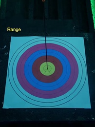 Episode 73 - Peerless Dragon