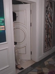 Episodio 37 - La princesa real