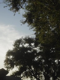 Episode 8 - Ich bin Alpha