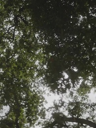 Episode 69 - Ich bin Alpha