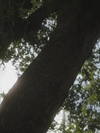 Episode 58 - Ich bin Alpha