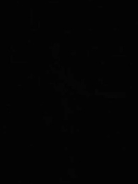 Episode 50 - Erwachen