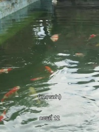 ตอนที่ 2 - ยอดองครักษ์ระดับเทพ