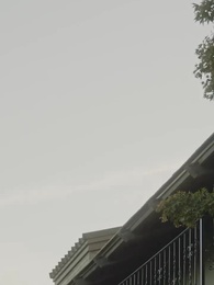 Episode 40 - Ich bin Alpha