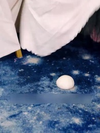 Episodio 1 - La identidad del Magnete Renacido