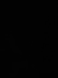 Episode 44 - Erwachen